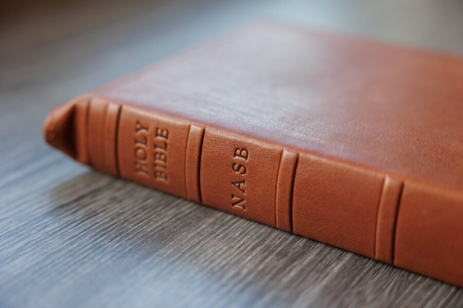NASB 1995 Side-Column Reference Bible