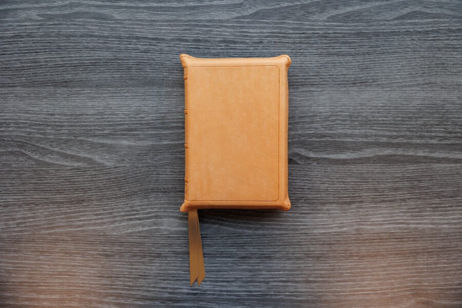 LSB Compact Bible Fossil PatNat Goatskin Cover⠀ - Image 12