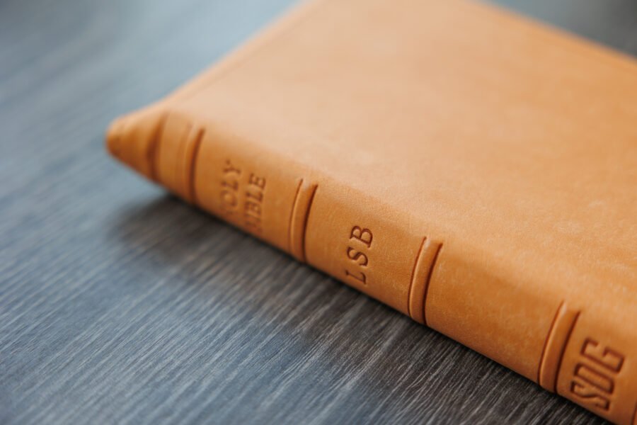 LSB Compact Bible Fossil PatNat Goatskin Cover⠀ - Image 7