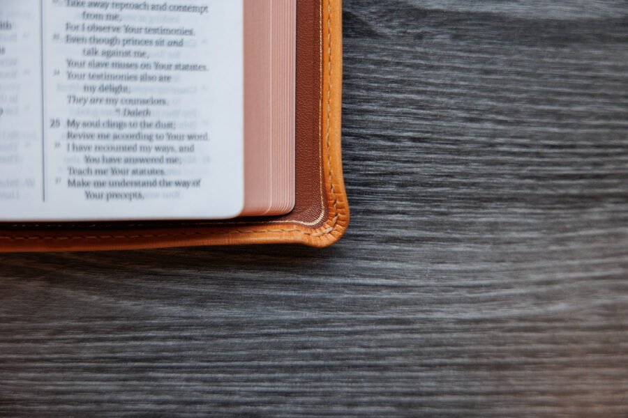 LSB Compact Bible Fossil PatNat Goatskin Cover⠀ - Image 6