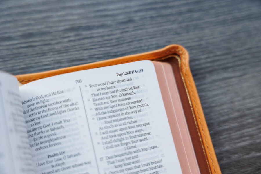 LSB Compact Bible Fossil PatNat Goatskin Cover⠀ - Image 5