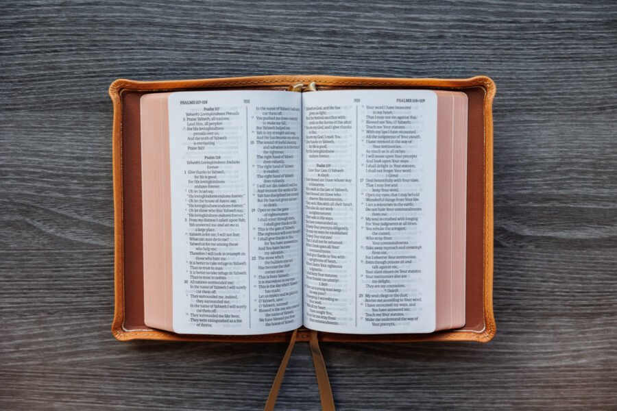 LSB Compact Bible Fossil PatNat Goatskin Cover⠀ - Image 4