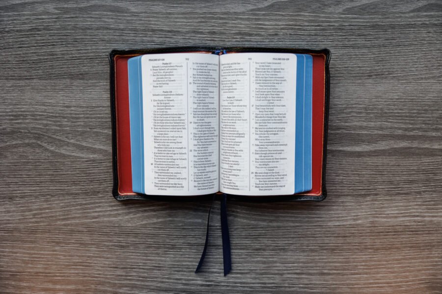 LSB Compact Bible Black Goatskin Cover - Image 4