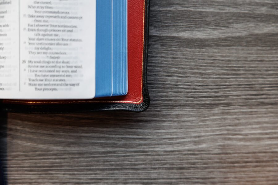 LSB Compact Bible Black Goatskin Cover - Image 3