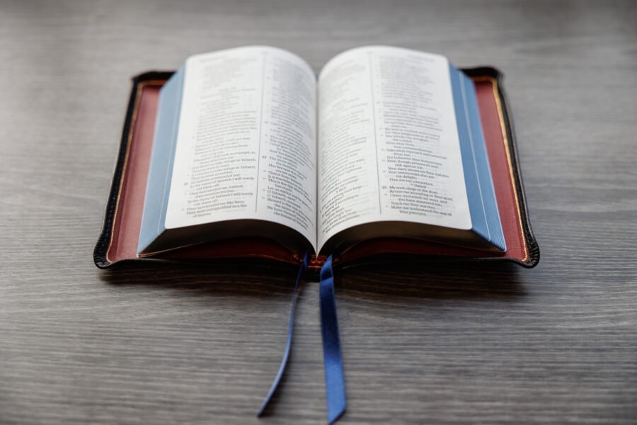 LSB Compact Bible Black Goatskin Cover - Image 2