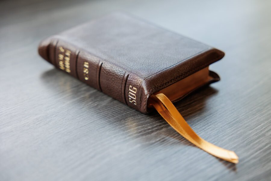 LSB Compact Bible Brown Goatskin Cover