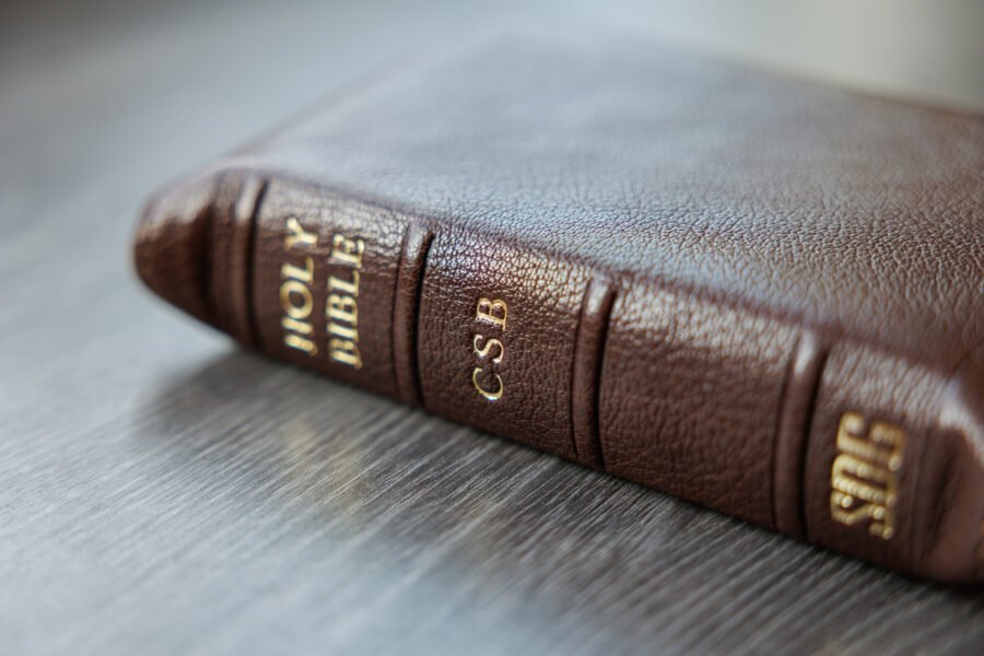 LSB Compact Bible Brown Goatskin Cover - Image 10