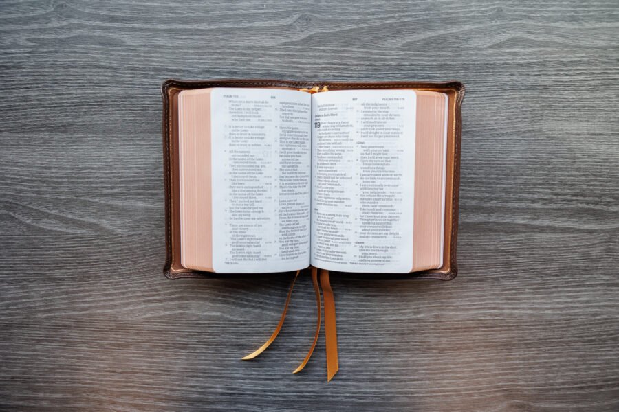 LSB Compact Bible Brown Goatskin Cover - Image 8