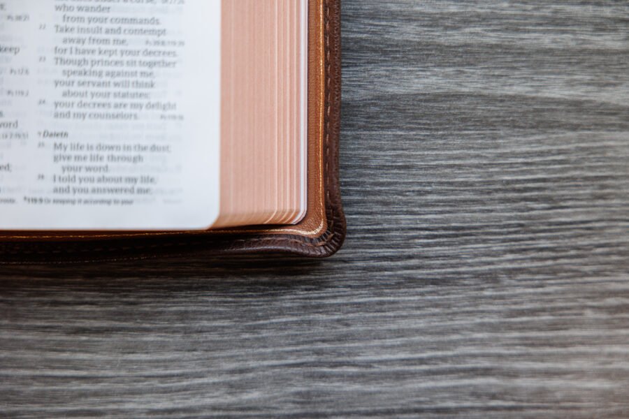 LSB Compact Bible Brown Goatskin Cover - Image 7