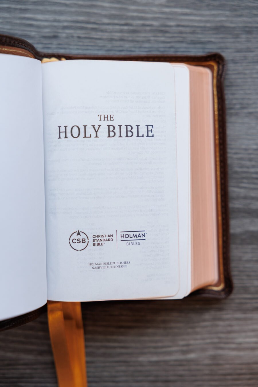LSB Compact Bible Brown Goatskin Cover - Image 5