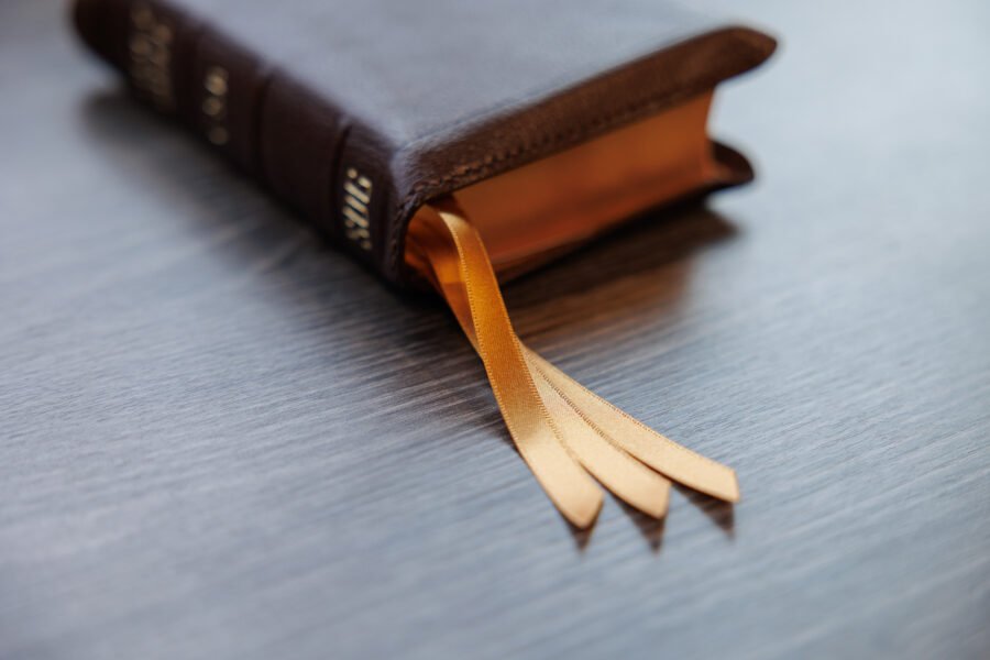 LSB Compact Bible Brown Goatskin Cover - Image 2